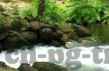 看足球比分软件-足球迷的数字战场，深度解析主流足球比分软件如何重塑观赛体验