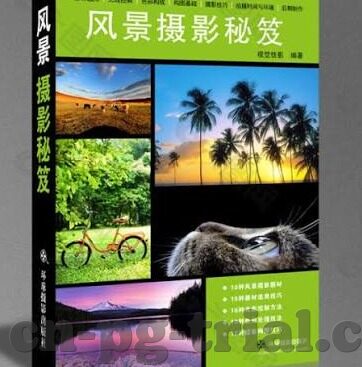 申花与武汉足球比分-申花与武汉足球对决，一场跌宕起伏的比分盛宴