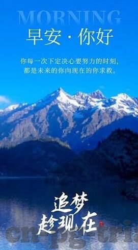 体球比分之足球比分-体球比分解码，足球比分的艺术与科学——从数据到激情的跨越