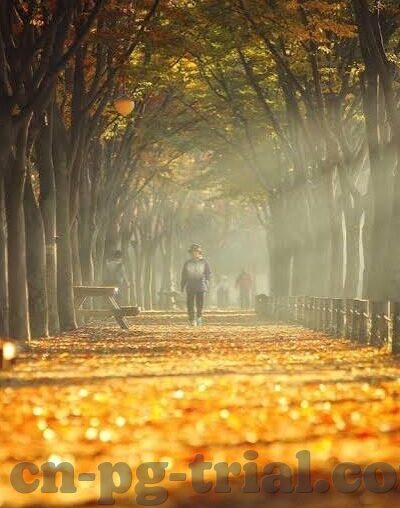 足球比分大师网址-足球比分大师网址，解锁绿茵场数据宝藏的钥匙