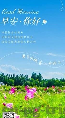 足球捷报比分直播-足球捷报比分直播，球迷的狂欢盛宴，实时赛场的激情传递